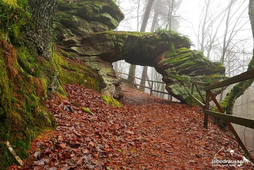 Felsentor auf der Felsenwald Tour