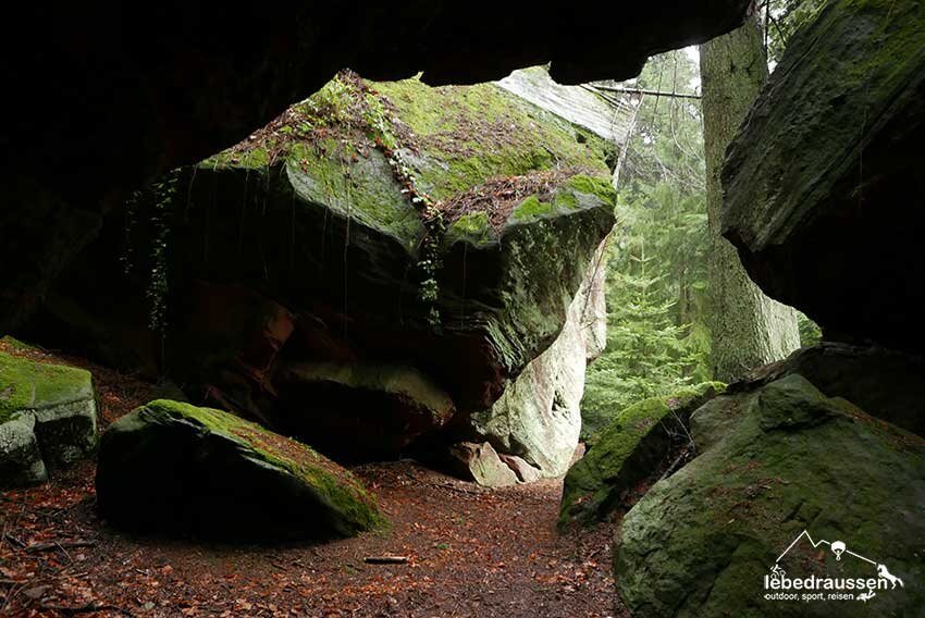 Felsspalte Felsenwald