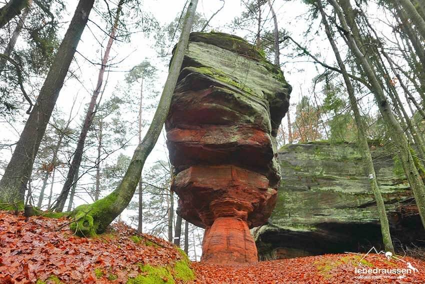 Kanzelfels bei Pirmasens