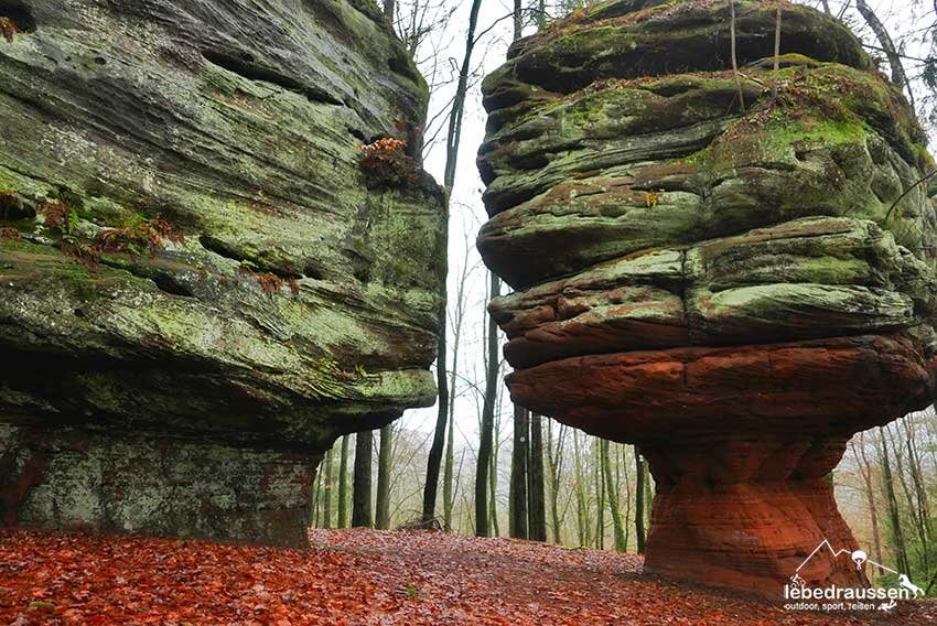 Kanzelfels Felsenwaldtour