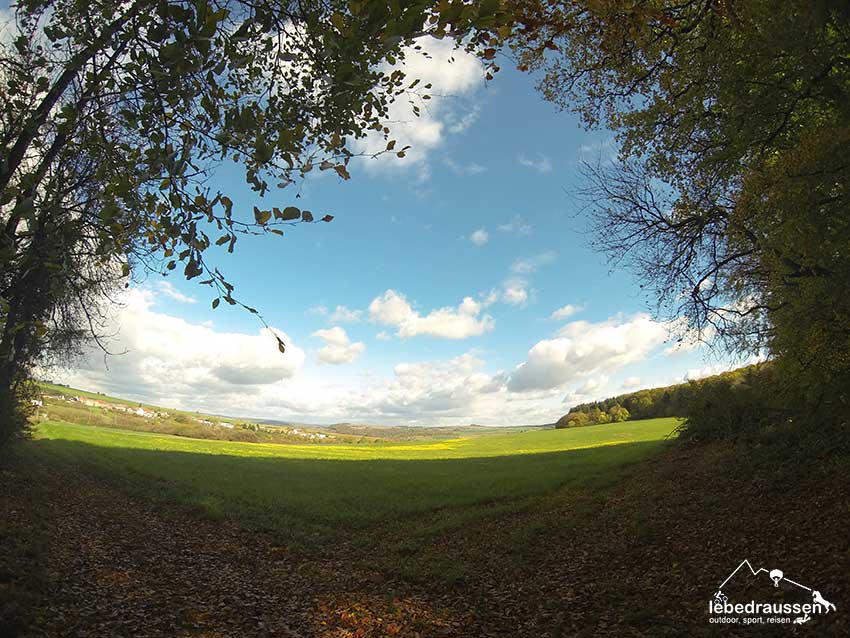 Ausblick auf Heining