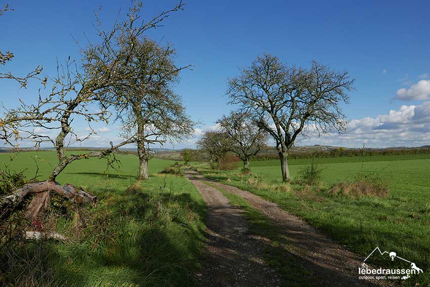 Landweg auf dem Grenzblickweg