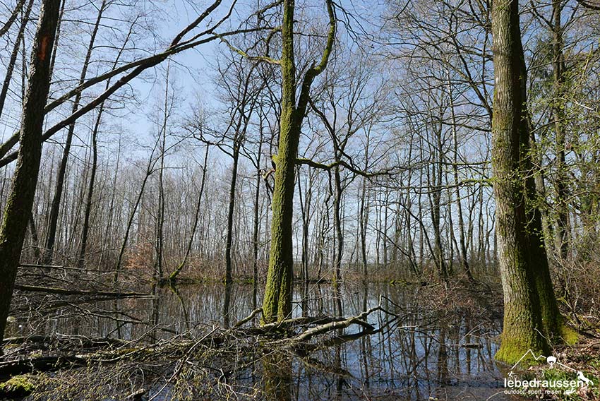 Mardelle im Bliesgau