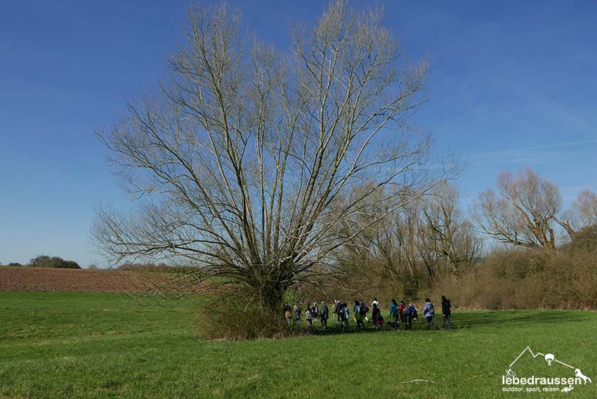 Wandern Bliesgau