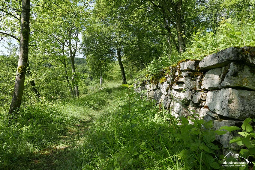 Weg am Orchideenpfad Gersheim