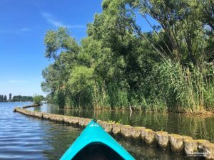Kajaktour auf der Spree