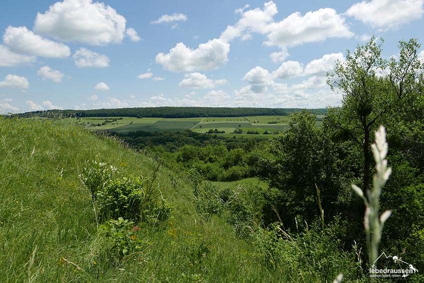 Aussicht Orchideenpfad Gersheim