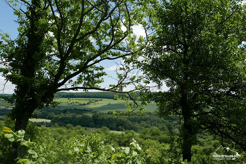Aussicht Orchideenpfad Gersheim