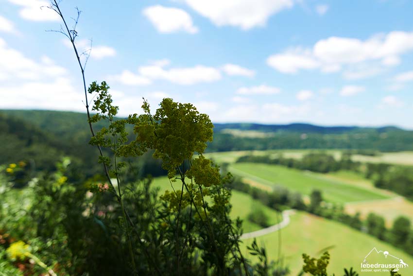 Sommer im Donautal