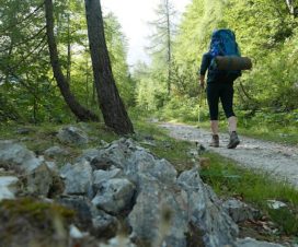 Mit Rucksack auf dem Alpe-Adria-Trail