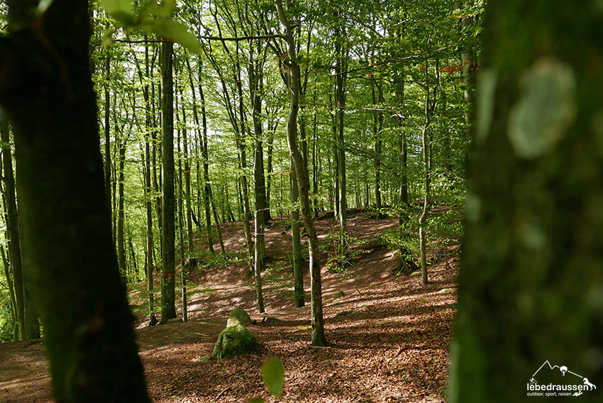 Söderasen Nationalpark