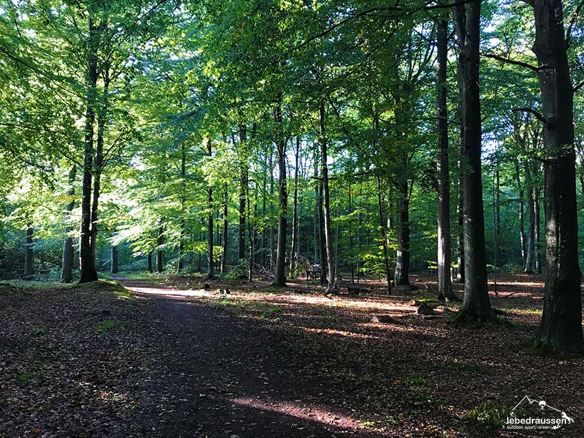 Wald Nationalpark Kullaberg