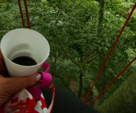 Kaffee im Baum