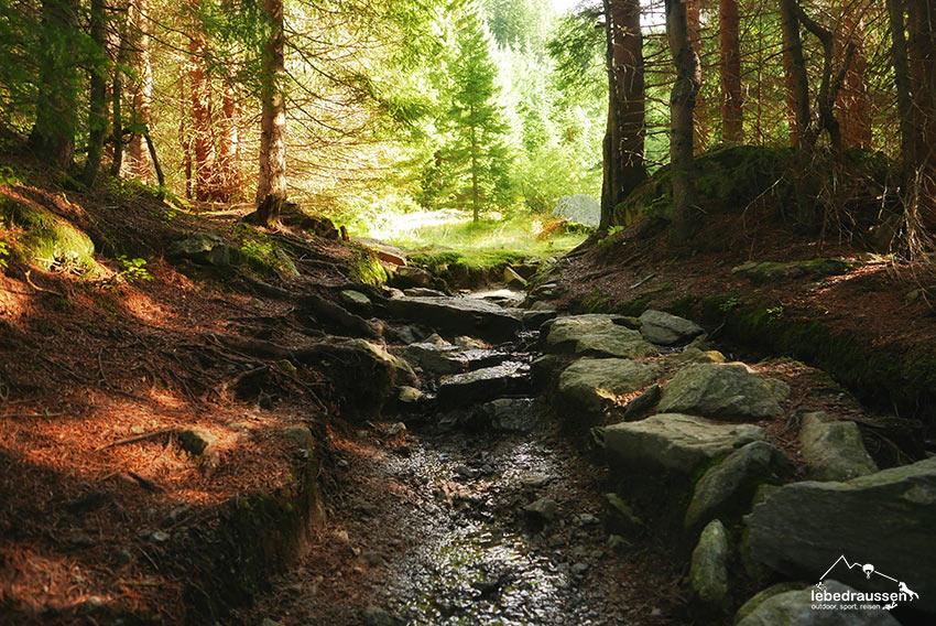 Pfad Wormser Höhenweg
