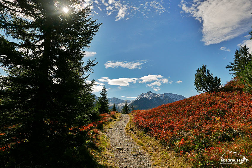 Bergweg Montafon