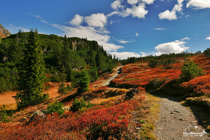 Herbstwanderung Mondafon