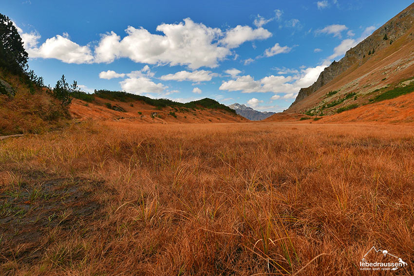 Wiegensee Schwingrasen Montafon