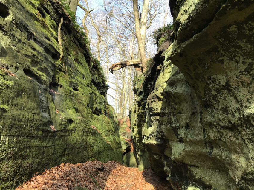 Erfahrung Mit Naturhauschen De In Luxemburg