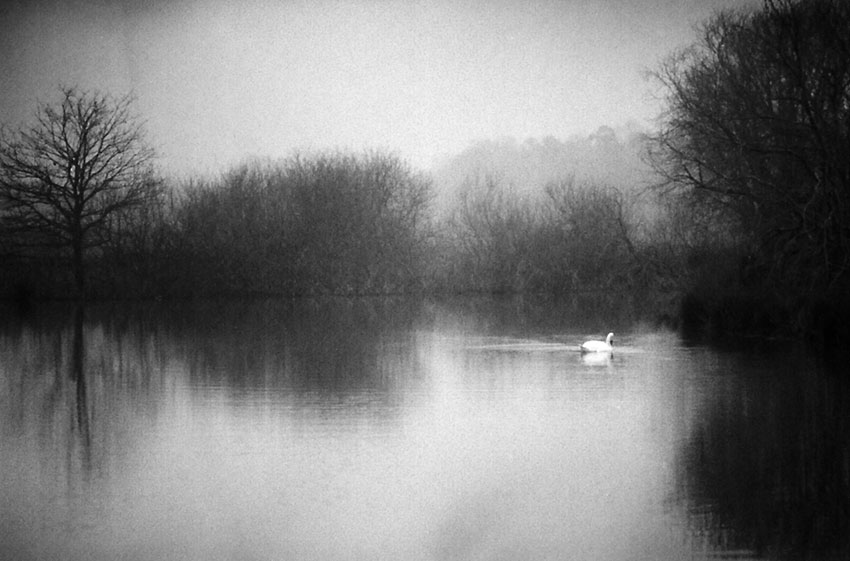 Wildnispädagogik: Selbstfindung in der Natur