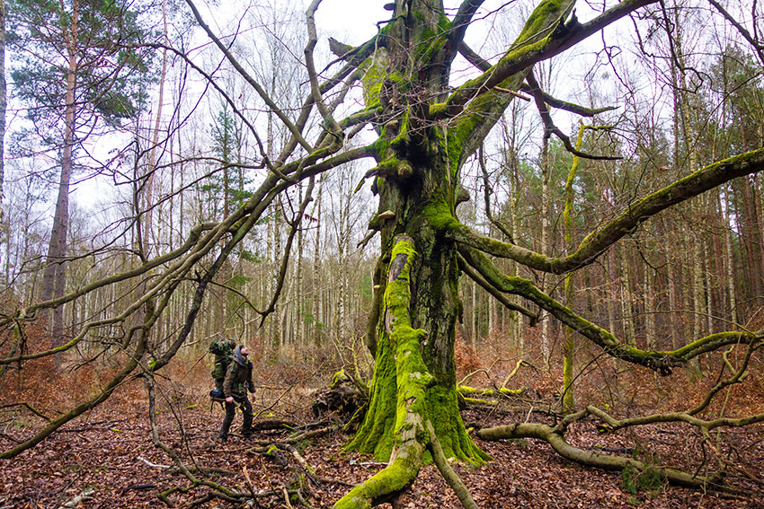 Wildnispädagogik Ausbildung Medicine Walk