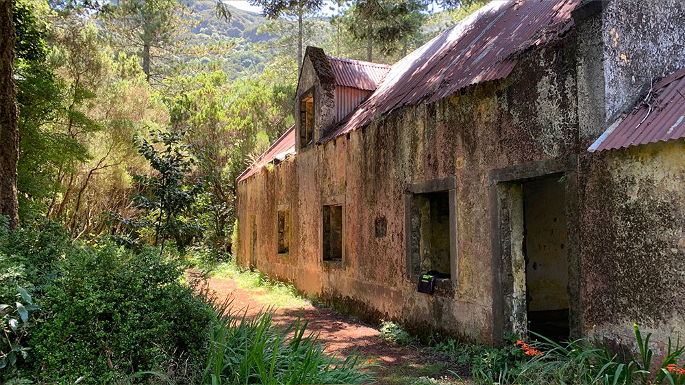 Madeira-Trekking: Camp-Caramujo mit der Ruine