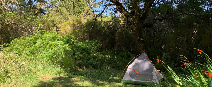 Madeira-Trekking: Camp Caramujo mit Zelt